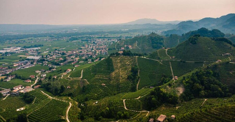 valdobbiadene-prosecco-private-tour-taste-with-sommelier