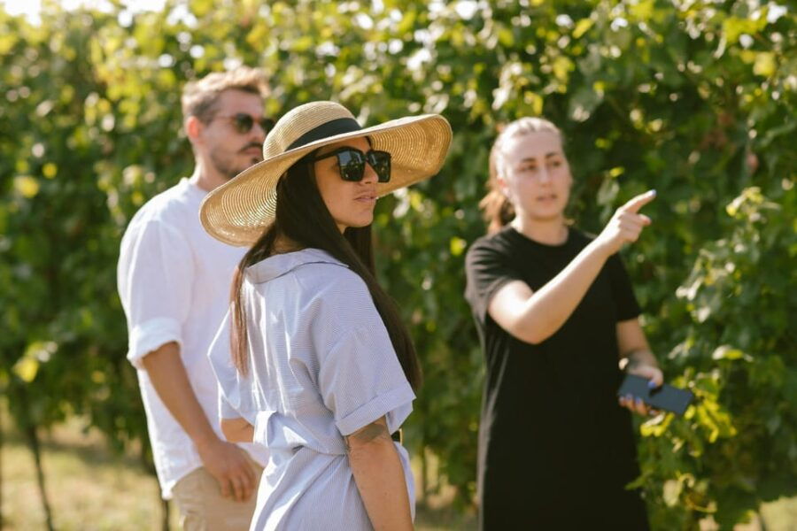 valeggio-the-soul-of-the-territory-in-5-wines-and-guided-winery-tour