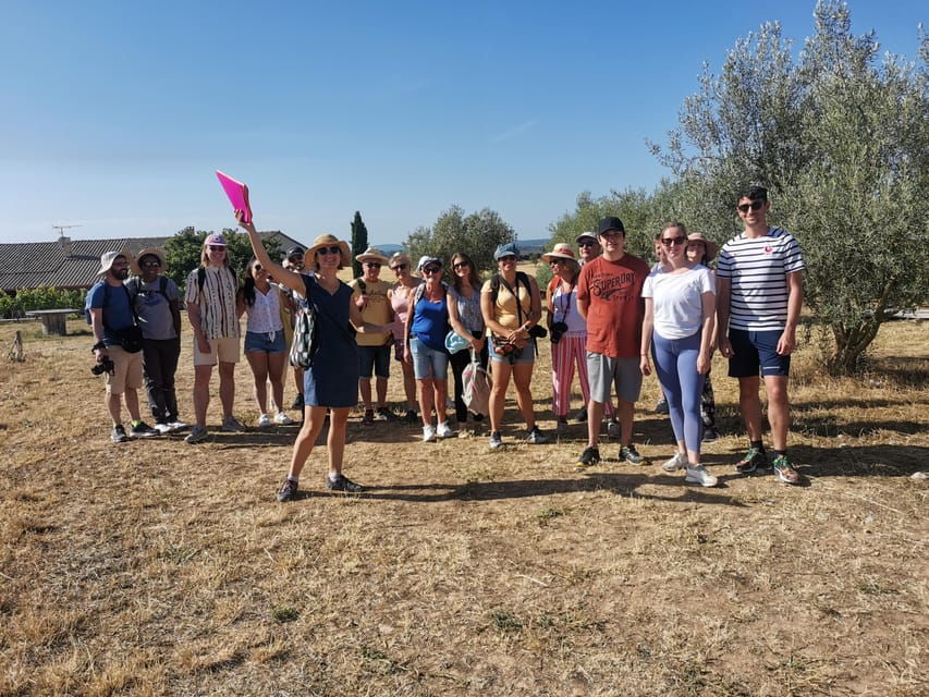 valensole-visit-of-a-winery-and-lavender-farm