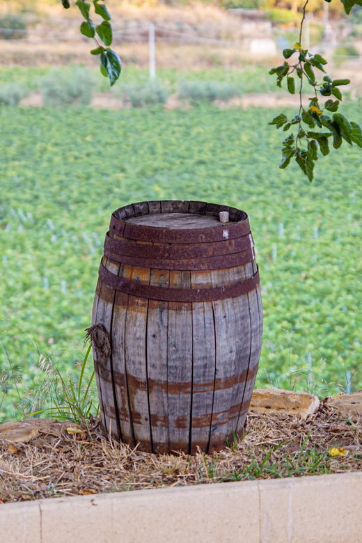 valley-of-ferle-wine-tasting-brunch-in-caltagirone
