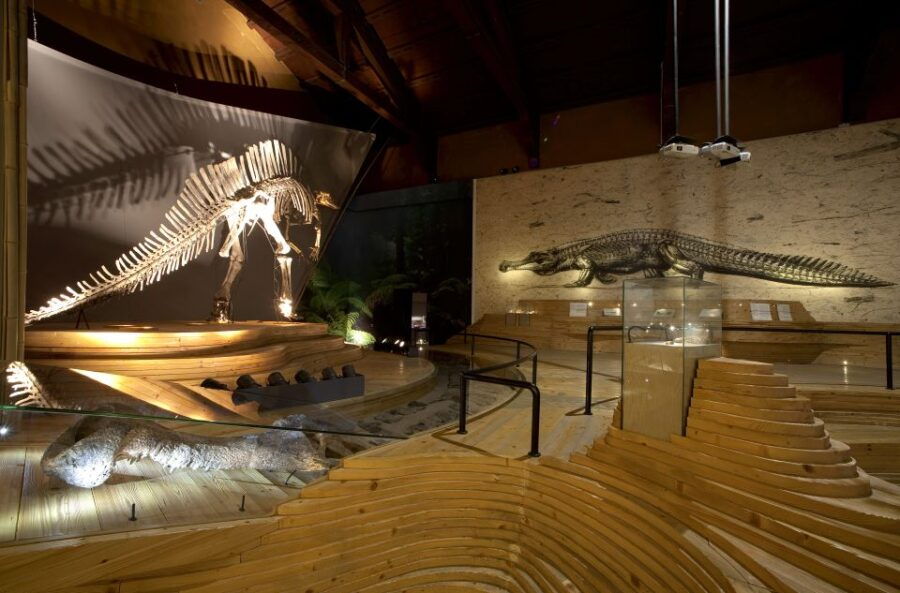 venice-natural-history-museum-entry-ticket