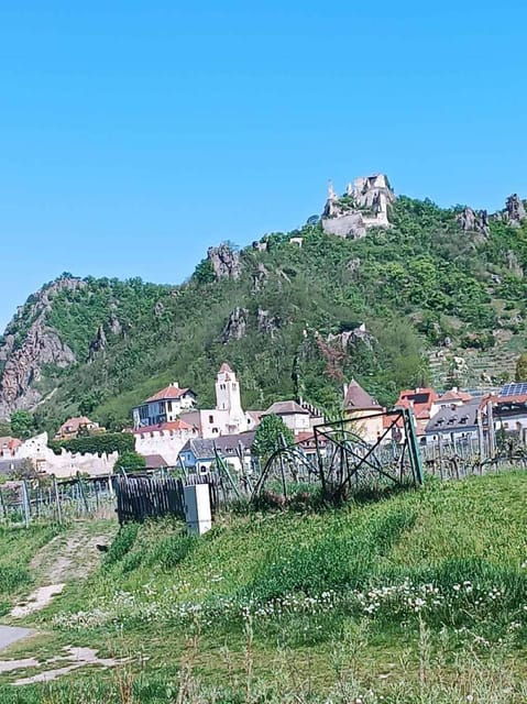 vienna-private-tour-of-the-wachau-to-durnstein-and-melk