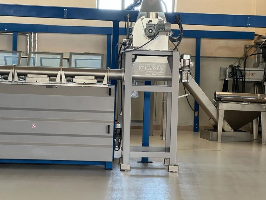 villa-castelli-highlights-walking-tour-w-olive-oil-tasting