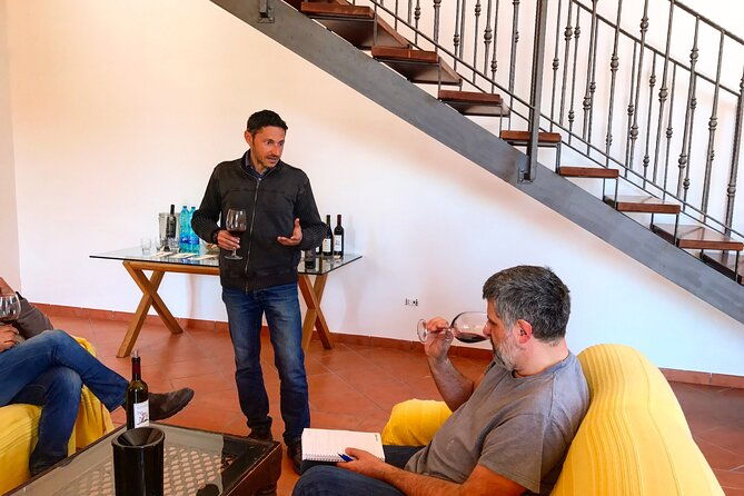 vineyard-experience-in-pozzuoli