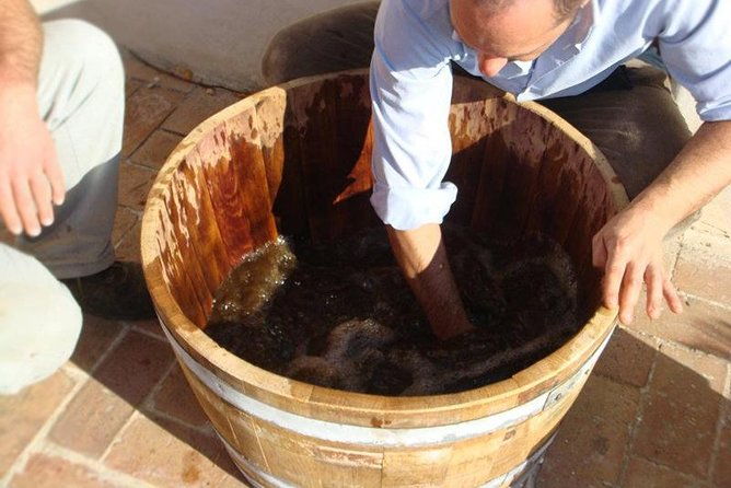 vineyard-tour-at-one-of-the-most-famous-wine-production-centres-in-the-amalfi-c