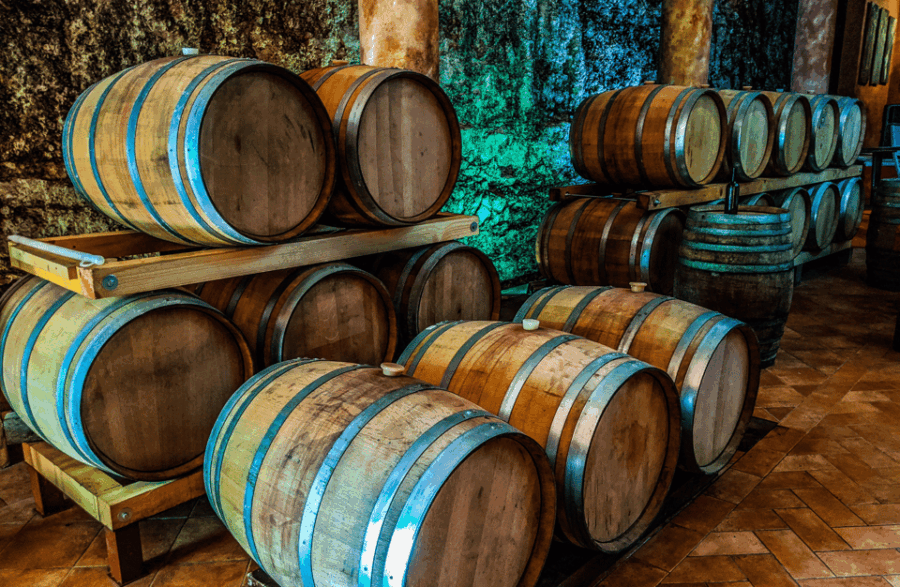 vineyard-walk-wine-tasting-in-the-berici-hills-of-vicenza