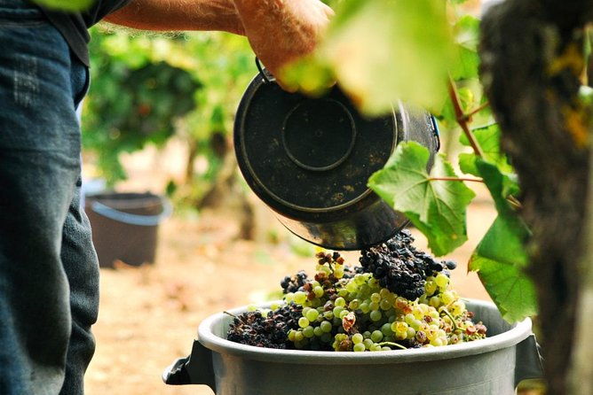vinho-verde-private-wine-tour-all-inclusive