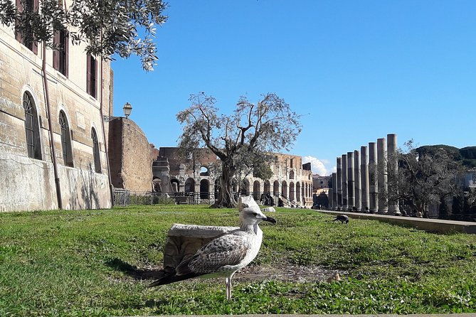 visit-rome-highlights-in-1-day-vip-coliseum-and-vatican-tour-lunch-transfers