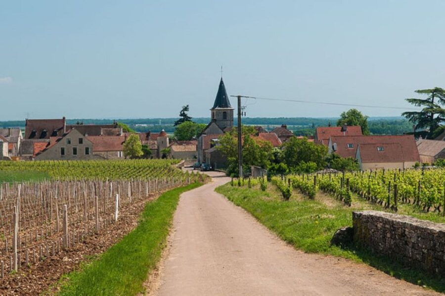 vosne-romanee-private-vineyards-walking-tour-with-tasting
