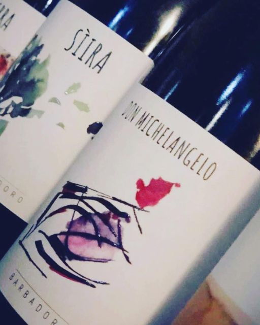 walk-among-the-rows-of-vineyards-and-wine-tasting