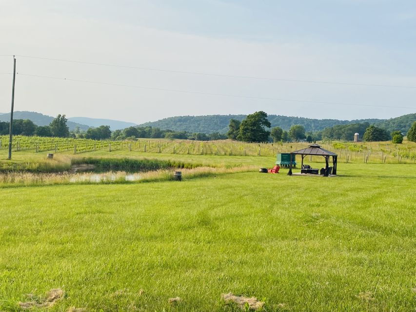 washington-dc-virginia-wine-region-experience-tour