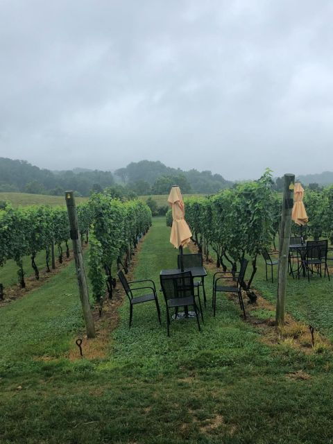 Washington DC: Winery Tour