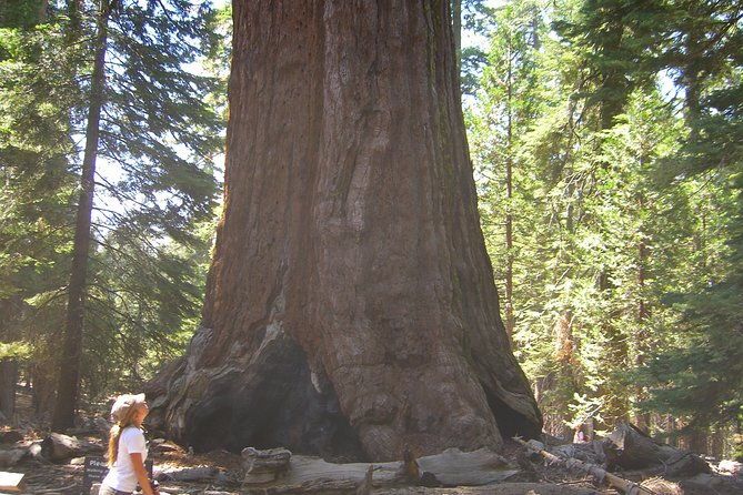 western-national-parks-7-day-explorer-lodging