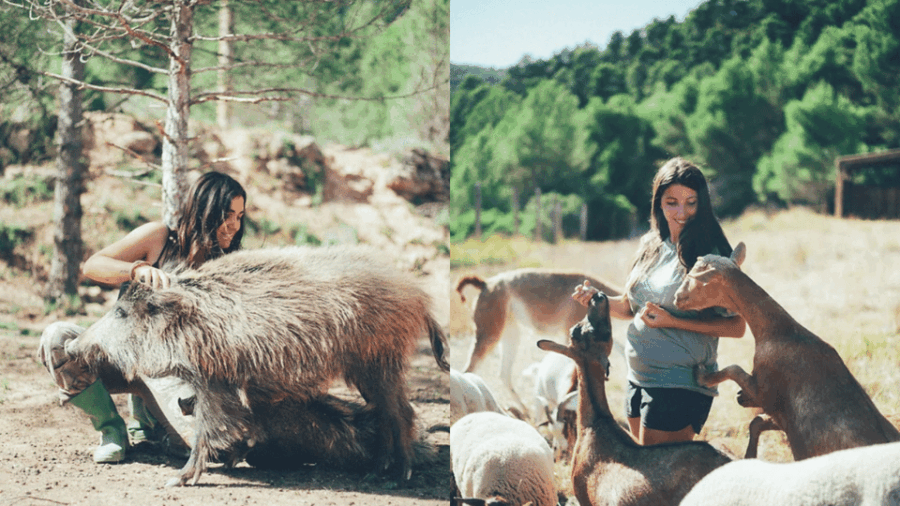 wild-forest-reserve-foundation-visit