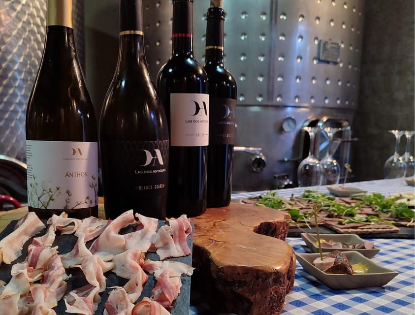 wine-and-food-pairing-tasting-las-dos-antiguas-artisan-winery-segovia