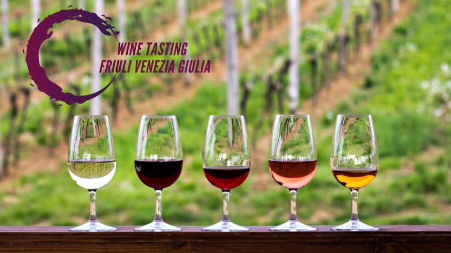 wine-tasting-and-winery-tour-in-friuli-venezia-giulia