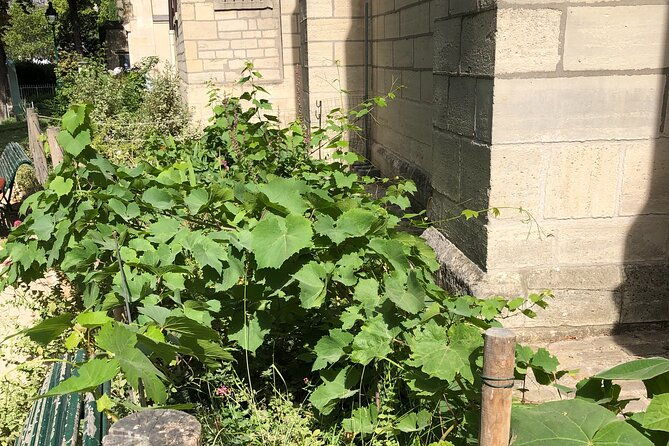 wine-tasting-walking-tour-in-saint-germain-des-pres