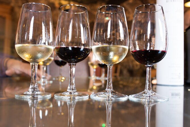 wine-tour-in-azeitao-and-setubal-with-arrabida-beaches