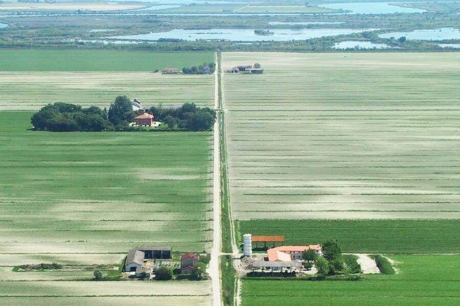 wine-tour-in-the-hemingway-lands-close-to-caorle-lagoon