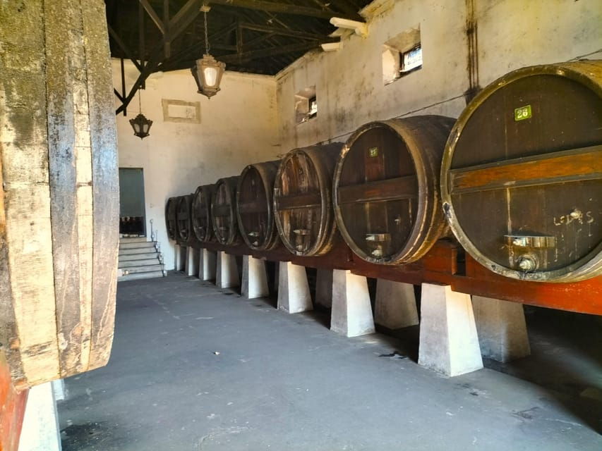 winery-tastings-4wd-vineyards-half-day-trip-from-lisbon