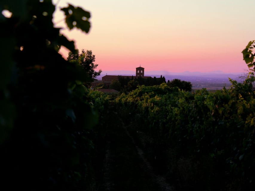 winery-tour-tasting-with-food-at-castelli-romani