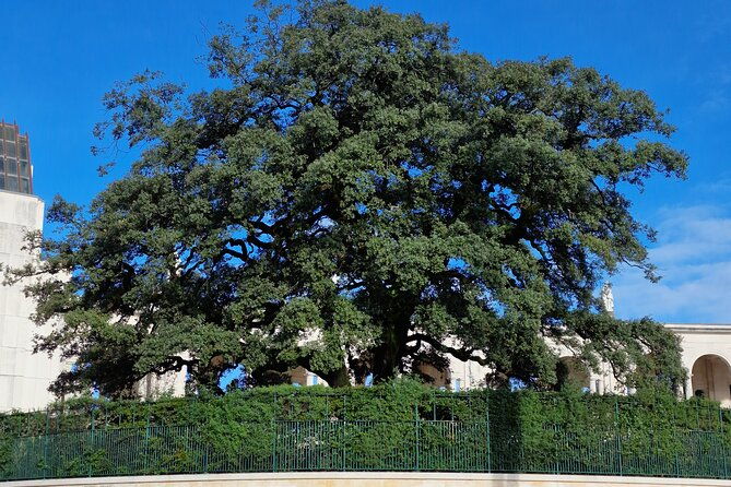 wonderful-private-half-day-tour-in-fatima