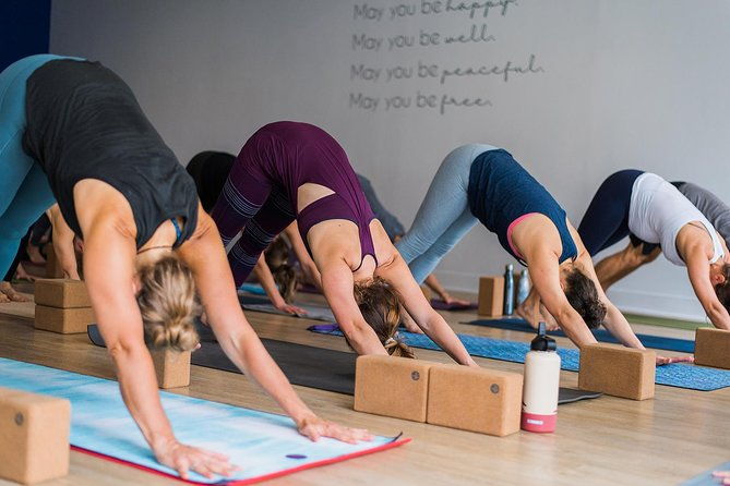 Yoga Classes