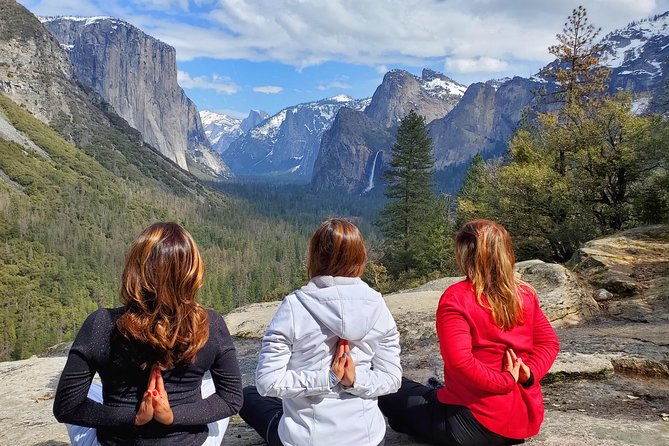 yosemite-national-park-1-day-private-tour-from-san-francisco-or-yosemite-area