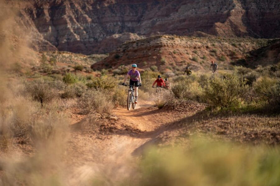 zion-guided-half-day-mountain-bike-tour