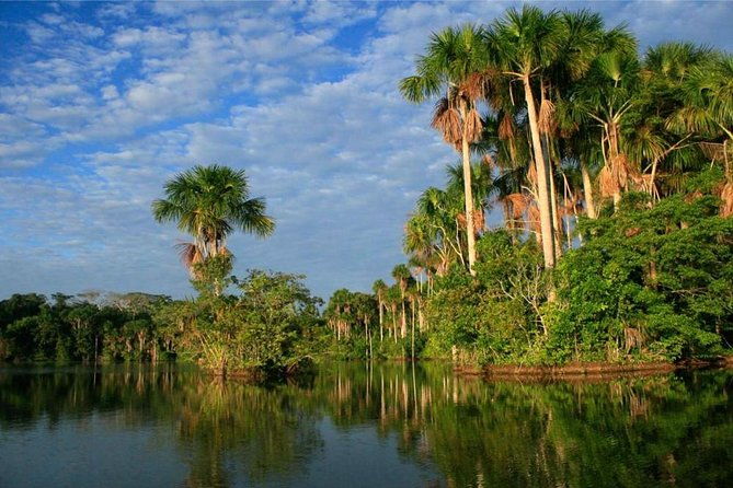 2-days-1-night-tambopata-jungle