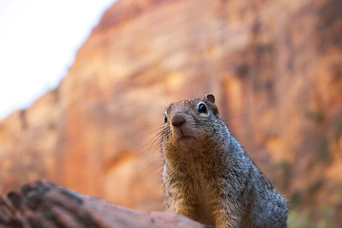 2-days-zion-and-bruce-canyon-tour-with-hiking