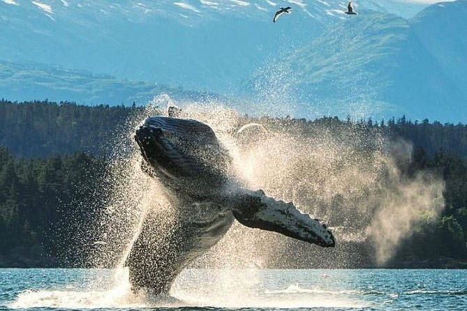2-hour-custom-private-group-charter