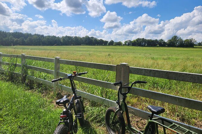 2-hour-guided-e-bike-tour-greenery-scenery-and-mindfulness