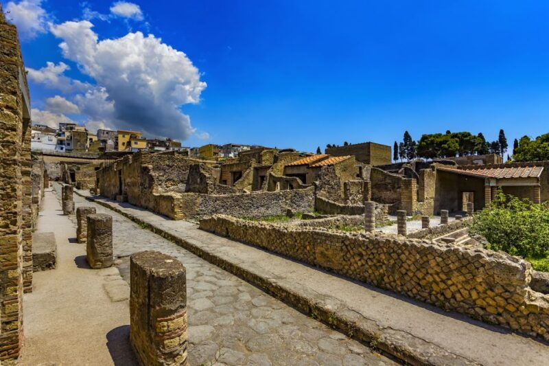 2-hour-private-tour-of-the-ruins-of-herculaneum-2