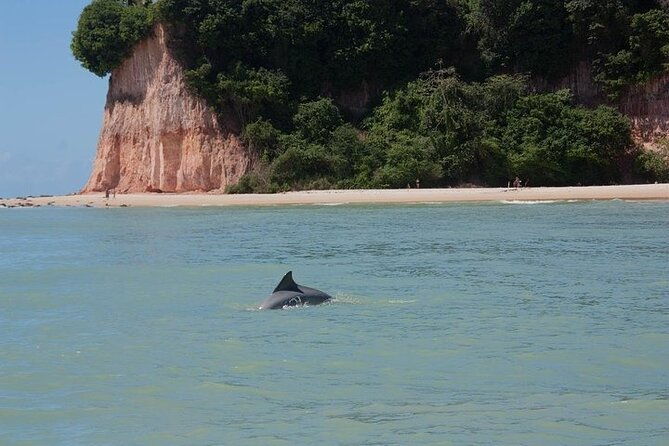1-day-tour-to-pipa-beach-rn-leaving-from-natal-rn