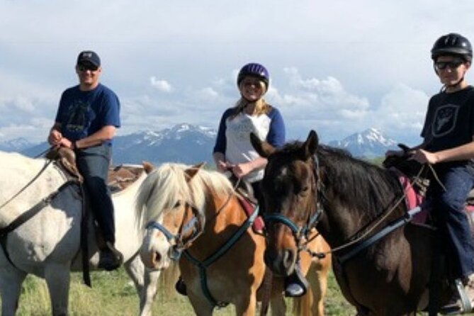 1-hour-indoor-activity-horsemanship