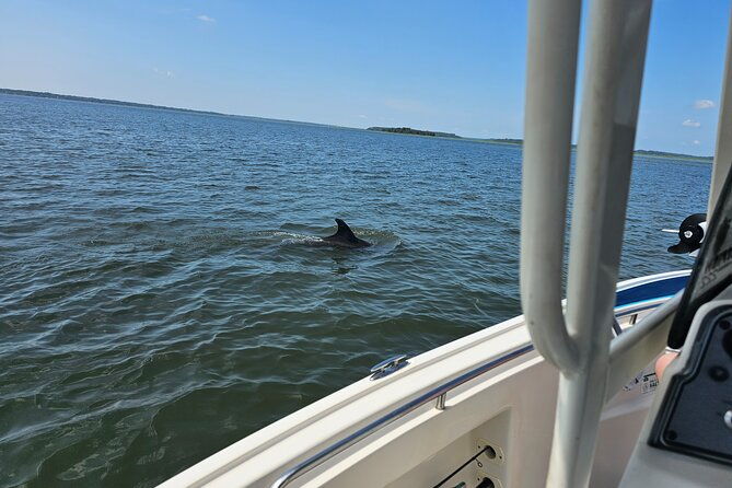 1-hour-private-dolphin-and-nature-tour