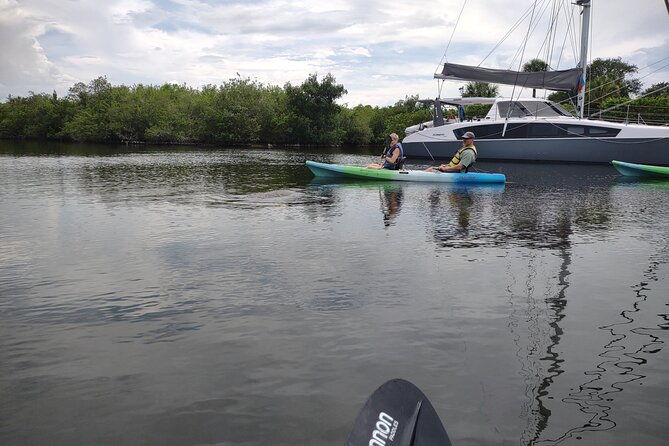 1-hour-single-kayak-rental-with-manatee-dolphin-sightings