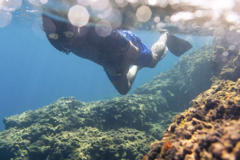 1-hour-snorkeling-tour-in-paraggi-bay-portofino