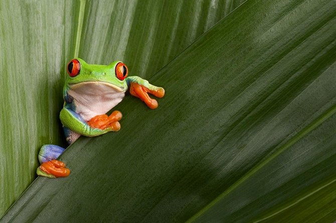 11-days-ultimate-escape-costa-rica-self-drive-from-liberia