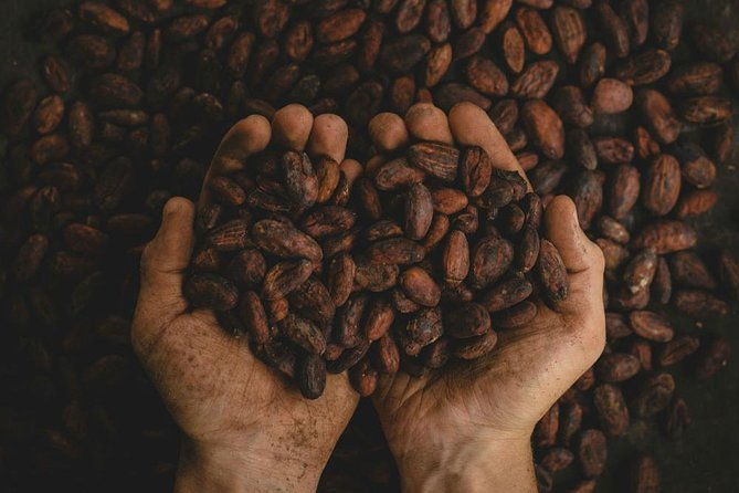 2-day-exclusive-coffee-and-cacao-experience