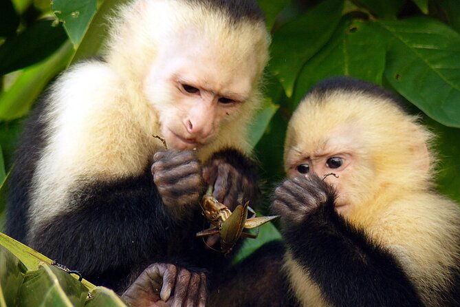 2-day-private-tour-in-tambopata-amazon