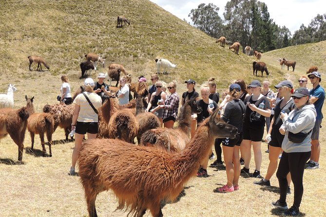 2-days-otavalo-highlights