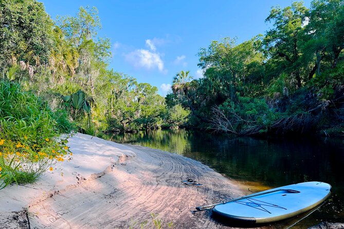 2-hour-guided-stand-up-paddle-board-tour-along-upper-manatee-river