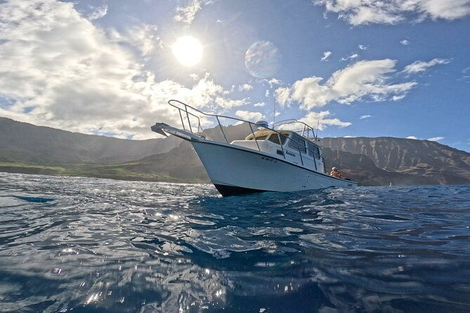 2-tanks-scuba-dive-kauai-from-a-boat
