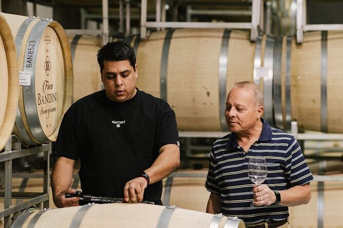 2-wineries-and-1-distillery-full-day-tour-with-lunch-in-mendoza