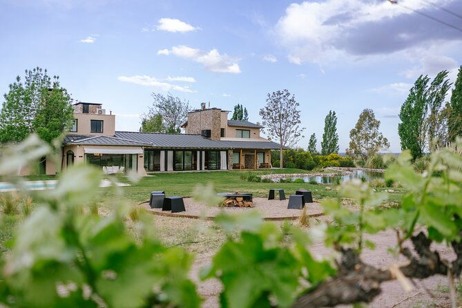 3-day-mendoza-enchanted-vine-retreat-with-optional-airfare