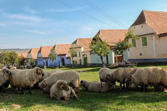 3-day-tour-medieval-transylvania-with-half-board