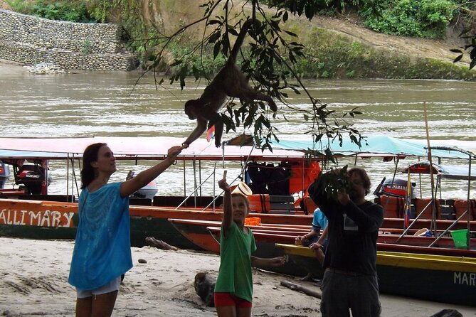 3-days-amazon-tena-from-quito