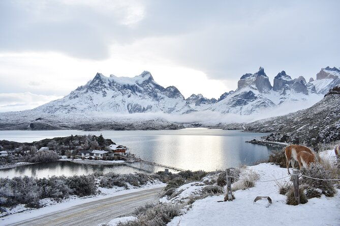 3-days-in-torres-del-paine-private-for-groups-of-4-people
